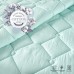 Набір Tropical IDEIA, євро ковдра 200 x 220 см + 2 подушки 50 x 70 см, антиалергенний, м’ята Набір Tropical IDEIA, євро ковдра 200 x 220 см + 2 подушки 50 x 70 см, антиалергенний, м’ята