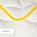 Ковдра ПОПКОРН зимова ТМ IDEIA 200 x 220 см з кукурудзяним наповнювачем біла Ковдра ПОПКОРН зимова ТМ IDEIA 200 x 220 см з кукурудзяним наповнювачем біла