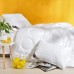 Ковдра зимова Air Dream Exclusive подвійна TM IDEIA 175 x 210 см Ковдра зимова Air Dream Exclusive подвійна TM IDEIA 175 x 210 см