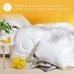 Ковдра зимова Air Dream Exclusive подвійна TM IDEIA 200 x 220 см Ковдра зимова Air Dream Exclusive подвійна TM IDEIA 200 x 220 см