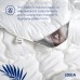 Ковдра зимова Super Soft Premium, полуторна, 155 x 210 см, аналог лебединого пуху, ТМ IDEIA Ковдра зимова Super Soft Premium, полуторна, 155 x 210 см, аналог лебединого пуху, ТМ IDEIA