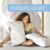Подушка Air Dream Classic 70 x 70 см, два чохли з блискавкою, з принтом троянди, ТМ IDEIA Подушка Air Dream Classic 70 x 70 см, два чохли з блискавкою, з принтом троянди, ТМ IDEIA