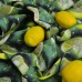 Скатертина із захистом від плям IDEIA, 140 x 170 см, бавовна, Teflon ефект, лайм Скатертина із захистом від плям IDEIA, 140 x 170 см, бавовна, Teflon ефект, лайм