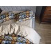 Комплект постільної білизни Ведмежата Стиляги Cotton 5D бежевий