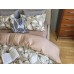 Комплект постільної білизни Віола беж, cotton